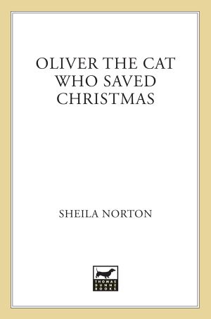 [Cat 01] • Oliver the Cat Who Saved Christmas